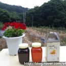 천태산농원 네이버블로그