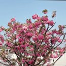 늘경주휴 이미지