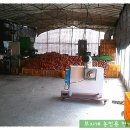 대흥축사 이미지