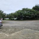 열매랑 뿌리랑 약초산나물 뷔페 이미지