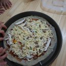 자일랜드 이미지