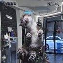 베이크띵스베럴 이미지