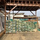 영희네집2 이미지