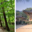 가족공원길 이미지