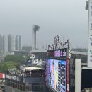 505 | KT위즈파크 티빙테이블석 외야 테이블석 505구역 시야 후기, 좌석 꿀팁