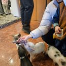 (주)더파크모터스 | 포천 실내동물원 주파크 아이와 함께 가볼만한 곳 추천 서울근교드라이브 포천여행 방문후기