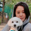 아지아지트 이미지