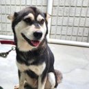 경기동로 이미지