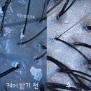 씻겨줄개 | 일산 두피 관리_모바이오 일산점 후기