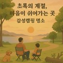 산과별 관광농원 | 초록의 계절, 마음이 쉬어가는 곳｜차박도 가능한 강원·충청 감성캠핑 명소⛺