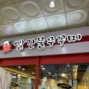 빨간불 쭈꾸미 네이버블로그