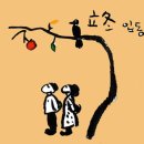 상간보