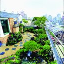 단독주택 외관 꾸미기 … 자연이 숨쉬는 `나만의 공원` 이미지