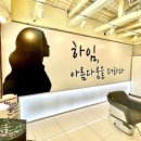하임 염색 이미지