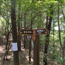 교동마을 쌍용(아) 네이버블로그