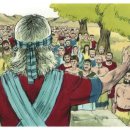 2022-주186 이미지