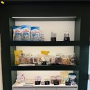 테일러퍼피 이미지