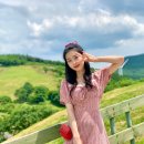 채림목장 이미지