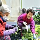 미주농장 이미지