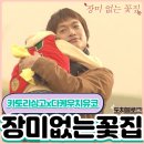 장미없는꽃집 일드 눈이 오면 매년 보는 인생드라마 결말 등장인물 줄거리 추천
