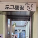 도그랑땡 네이버블로그