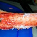 거성수산 이미지