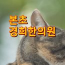 본초경희한의원 | 잠실구안와사병원 후유증 치료 왜 한의원을 선호?