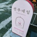 선주동물병원 이미지