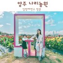 일향제면소 | 양주 나리농원 천일홍축제 일향제면소 방문