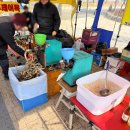 강원체육회관 | (강원도 양양) 양양 5일장, 전통시장 / 아이랑 양양 가볼만한곳