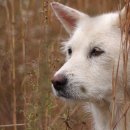 돌무덤농장 이미지