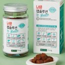 랩 솔루션 이미지