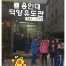 용인대덕양유도관 네이버블로그