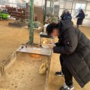 남기농장 이미지