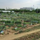 동대구농장 이미지