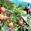 산내우체국 이미지