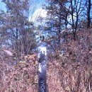 경주목장 이미지