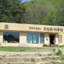 민들레향기