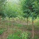 정량2농장 이미지