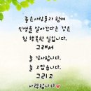바코드 이미지