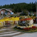 안좌면사무소 이미지