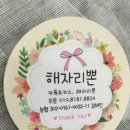 해자리본 이미지