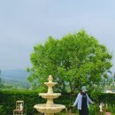 프티트자르뎅 | [경기도 양평 숙소] 서울 근교 조용하고 감성적인 숙소 , 프티트자르뎅 디럭스 D 객실 숙박후기