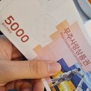 반딧불드론교육원 | [전북/무주] 무주 반딧불 축제/반딧불 신비 탐사 후기