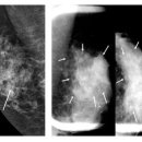 맑은유영상의학과의원 이미지
