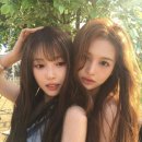 미정 이미지