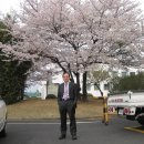 창원시청 이미지