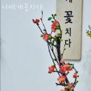 꽃차 소믈리에 취미반 | 양재동꽃집 너에게꽃치다 생화