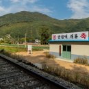 영화란 이미지