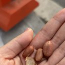 삼일이비인후과의원 이미지